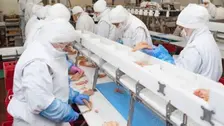 Responsable de production (H/F)
